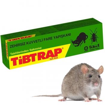 Tibtrap Kokusuz Zehirsiz Fare Yapışkanı 125 ml Tüp